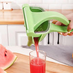 Fruit Juice Squeezer