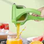 Fruit Juice Squeezer