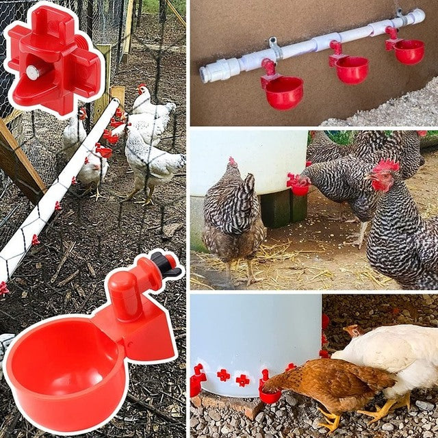Automatic Poultry Waterer