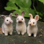 （5-7 days pre-sale）Needle felted baby bunny easter decor handmade material package