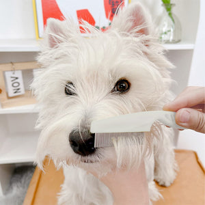 😸🐶Multifunctional Pet Hair Comb Flea and Tear Stain Removal