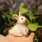 （5-7 days pre-sale）Needle felted baby bunny easter decor handmade material package