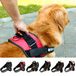 Large Dog Chest Harness