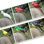 Simulation Parrot Decoration