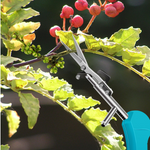 Portable Pointed Gardening Scissor